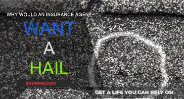 How Hail Helps Insurance Agents