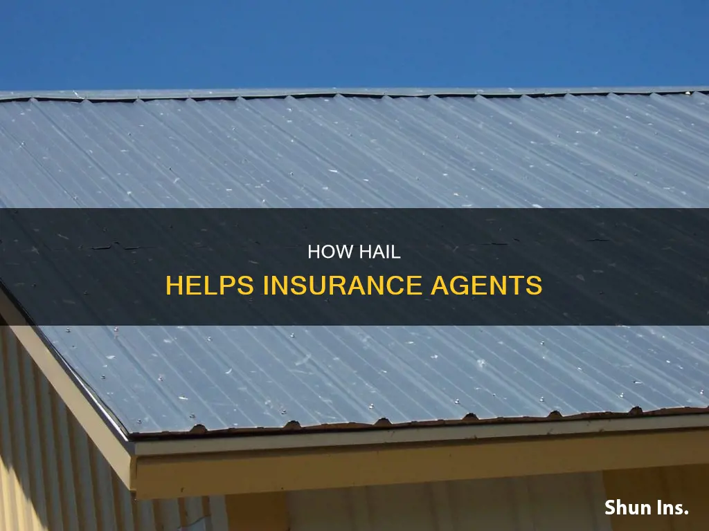 why would an insurance agent want a hail
