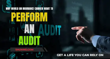 Insurance Audits: Fraud Prevention and Compliance