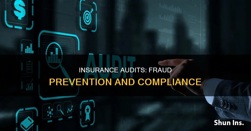 why would an insurance carrier want to perform an audit