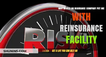 Why Insurance Companies Use Reinsurance Facilities for Policyholders