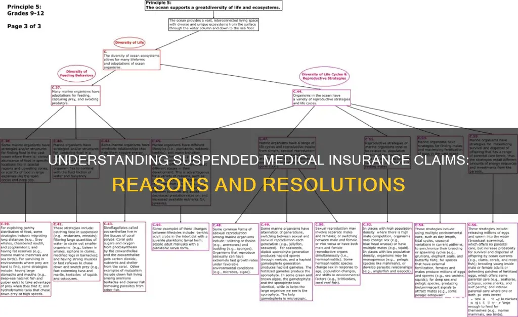 why would an medical insurance claim be suspended