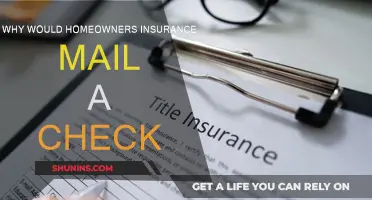 Homeowners Insurance: When Checks Arrive by Mail
