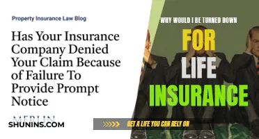 Understanding Life Insurance Rejections: Common Reasons and Solutions