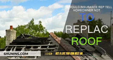 Insurance Reps: Why Delay Roof Replacement?