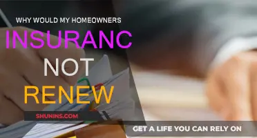 Home Insurance Non-Renewal: What You Need to Know