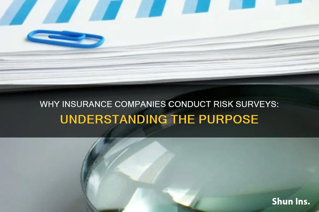 why would my insurance company do a risk survey