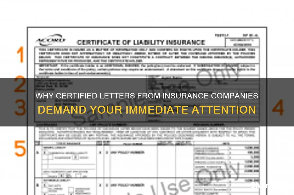 why would my insurance company sent me a certified letter