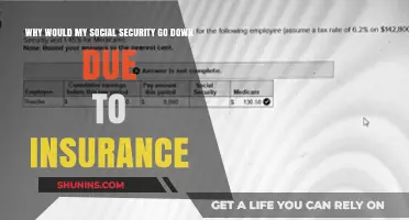 Understanding the Impact of Insurance on Social Security Benefits