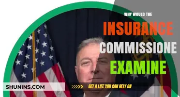 Why Insurance Commissioners Conduct Examinations: Key Reasons and Insights