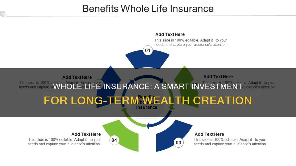 why you should add whole life insurance to your portfolio