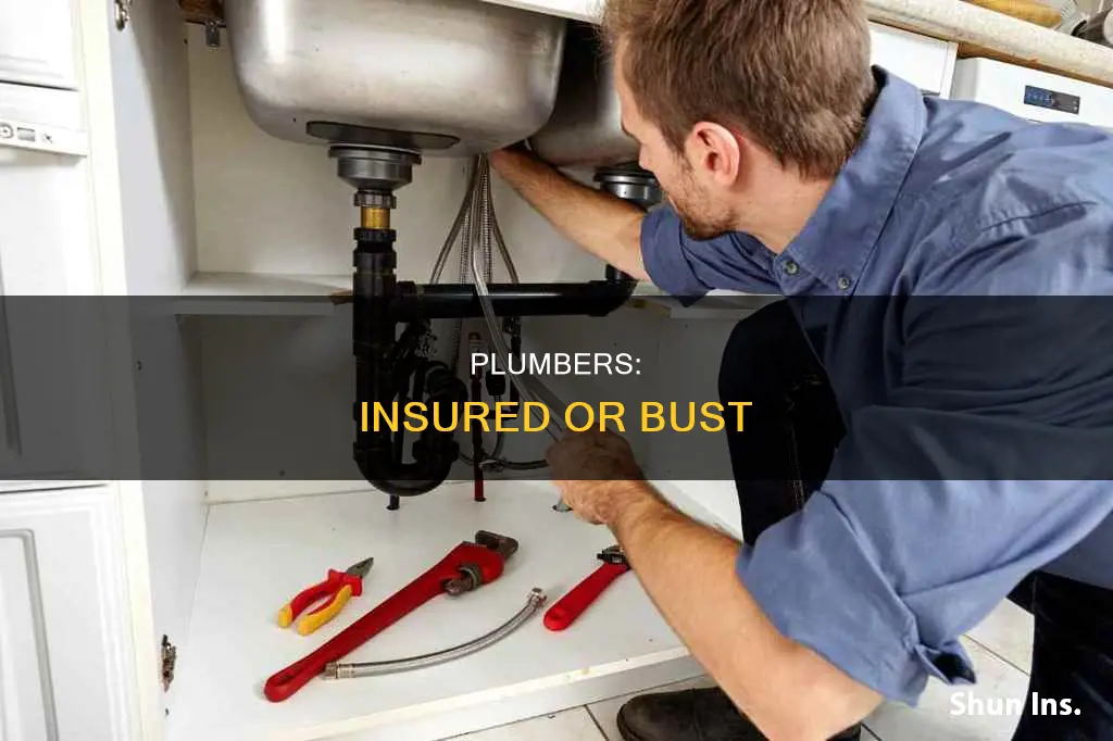 why you should you consider a plumber has proper insurance