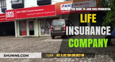Join ICICI Prudential: Growth, Stability, and Impact in Life Insurance
