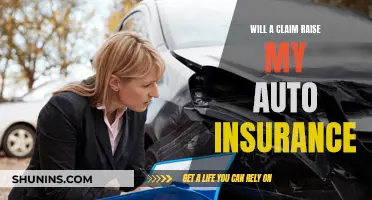 Auto Insurance Claims: Rates, Risks, and Rewards