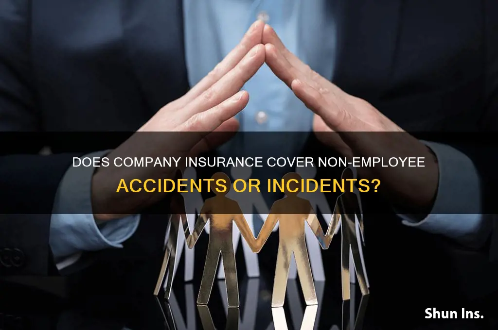 will a company insurance cover a non company emoloyee
