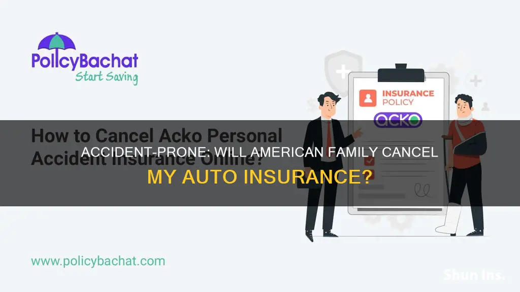 will american family cancel my auto insurance due to accident