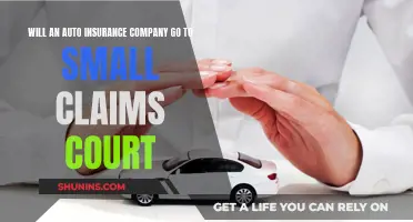 Auto Insurance Claims: Small Court, Big Impact?