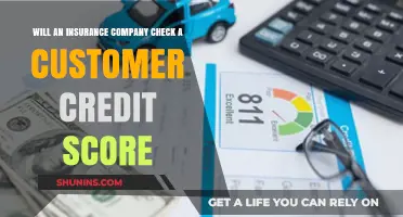 Does Your Credit Score Impact Insurance Rates? What to Know