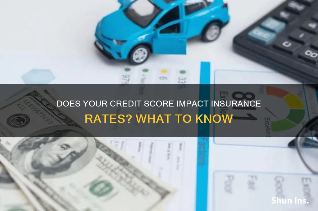 will an insurance company check a customer credit score