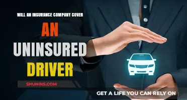 Will Insurance Cover Uninsured Drivers? Understanding Your Policy Limits