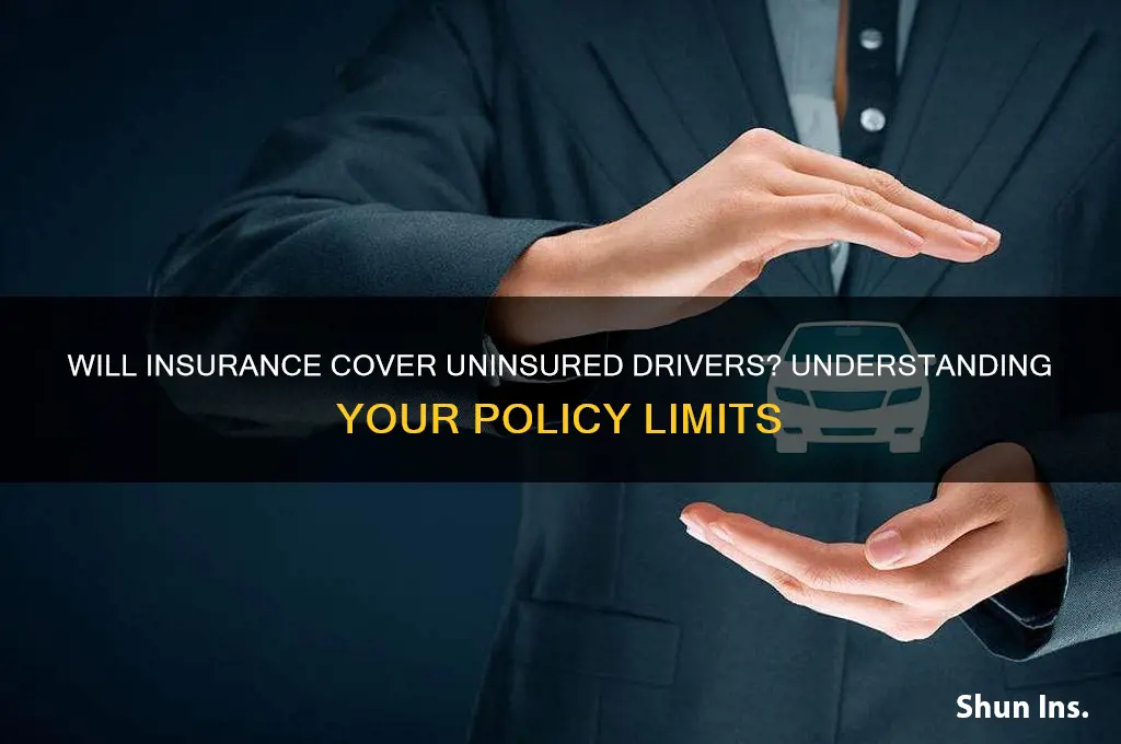 will an insurance company cover an uninsured driver
