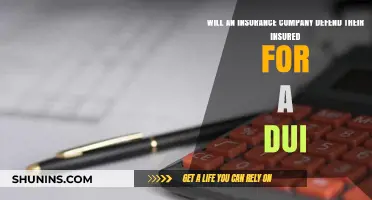 Will Insurance Cover DUI Defense? Understanding Your Policy's Limits
