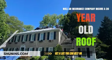 Insuring an Aging Roof: Will Companies Cover 20-Year-Old Roofs?