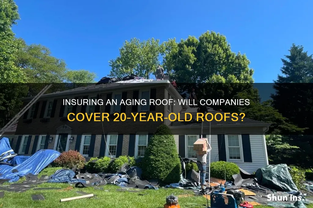 will an insurance company insure a 20 year old roof