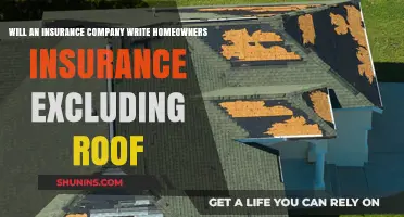 Can Homeowners Insurance Exclude Roof Coverage? What You Need to Know