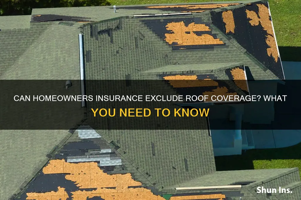 will an insurance company write homeowners insurance excluding roof