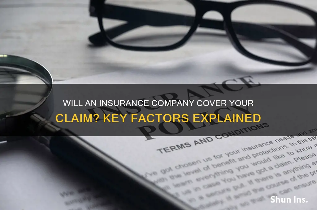 will an insurance company