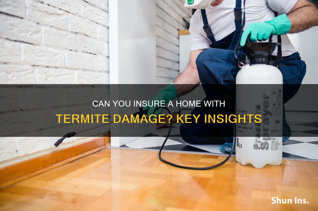 will an insurancec company insure a home with termite damage