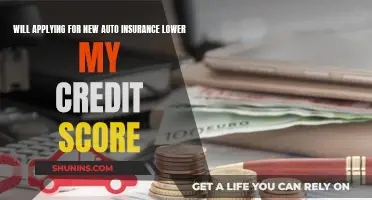 Auto Insurance and Credit Score: What's the Connection?