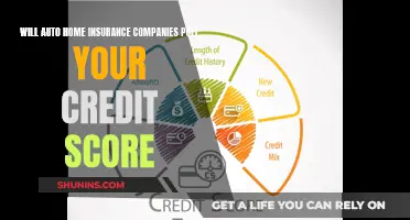 Home Insurance: Credit Score Impact on Premiums