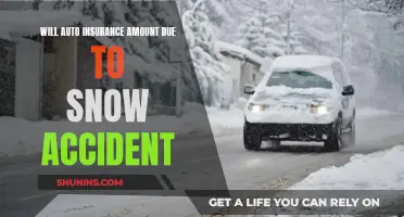 Winter Driving Risks: Insurance Costs After Snow Accidents