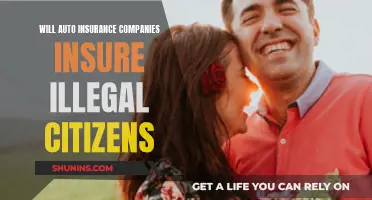 Auto Insurance: Covering Illegal Citizens?