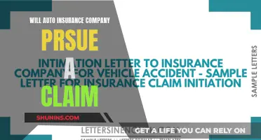 Auto Insurance Claims: When Will Companies Pursue?