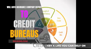 Auto Insurance and Credit: What's the Connection?