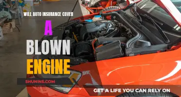 Auto Insurance: Blown Engine Coverage