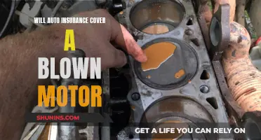 Auto Insurance Coverage for Blown Motors: What You Need to Know