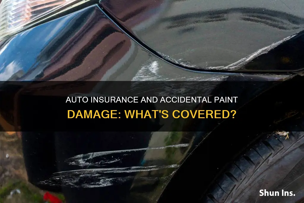 will auto insurance cover accidental paint damage