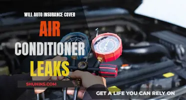 Auto Insurance Coverage for Air Conditioner Leaks