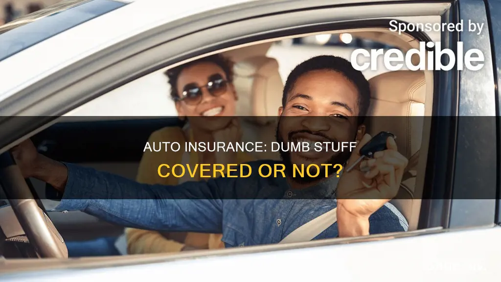 will auto insurance cover dumb stuff