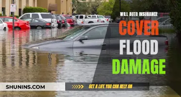 Auto Insurance and Flood Damage: What's Covered?