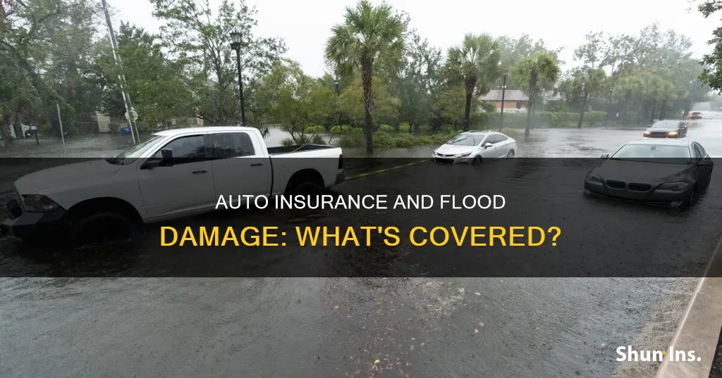 will auto insurance cover flood damage