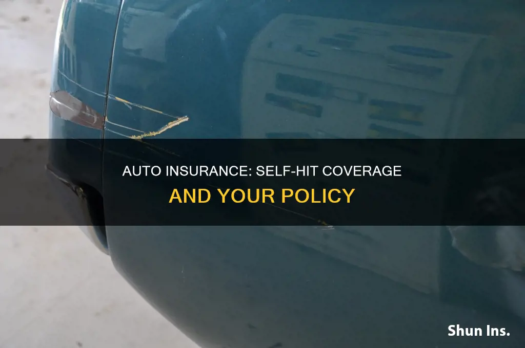 will auto insurance cover for self hit