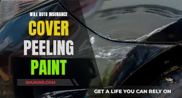 Auto Insurance and Paint Peeling: What's Covered?