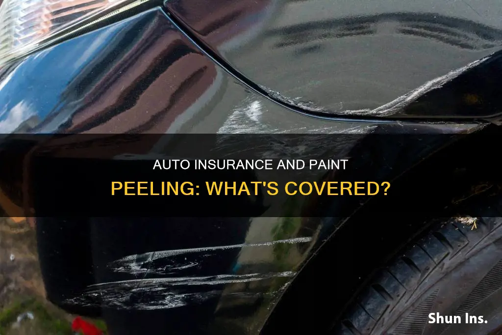 will auto insurance cover peeling paint