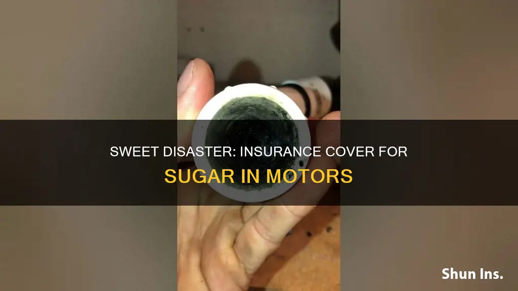 will auto insurance cover sugar in my motor