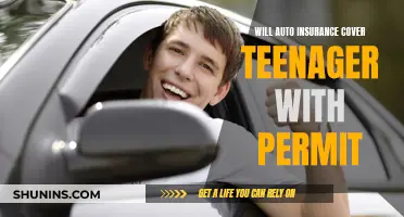 Auto Insurance Coverage for Teen Drivers with a Permit